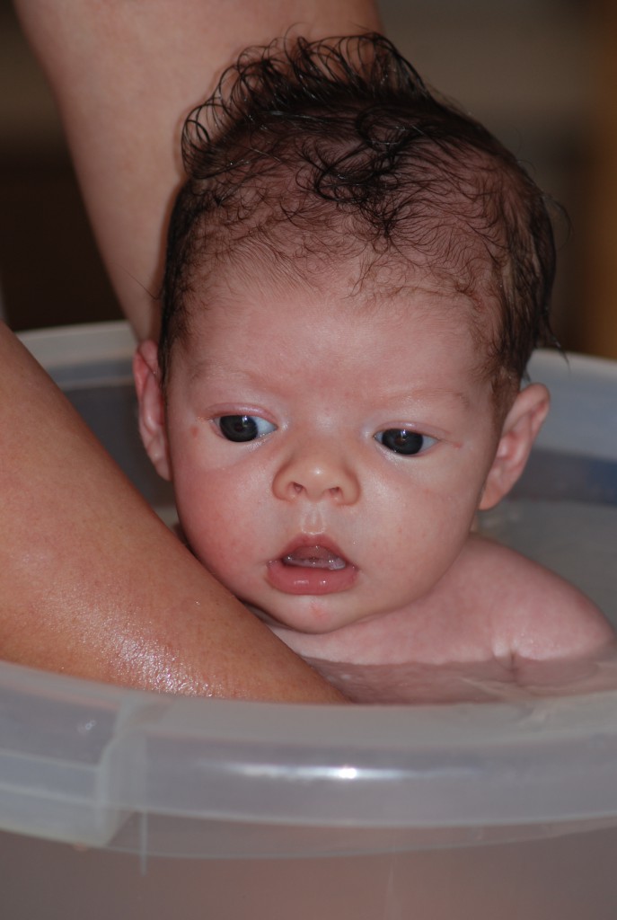 abelinthebath
