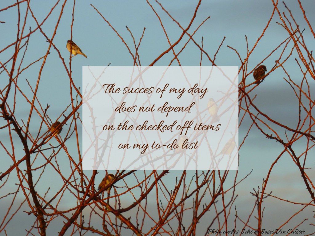 Succesofmyday