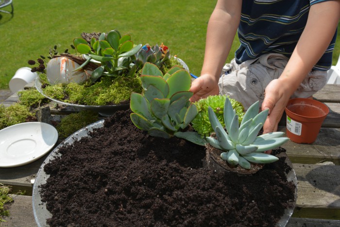 makingagarden1