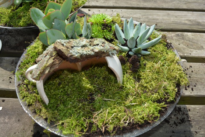 makingagarden