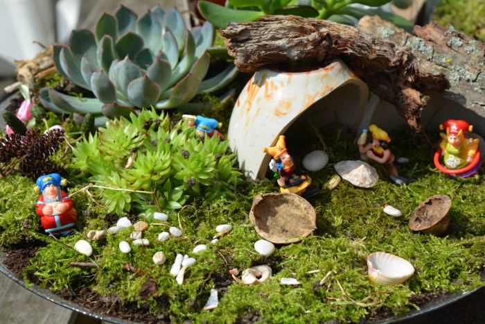fairygardenplop