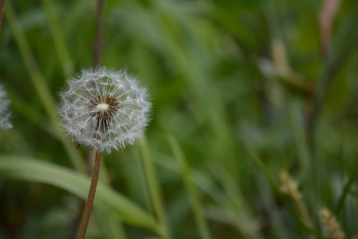 when life is  not idyllic
